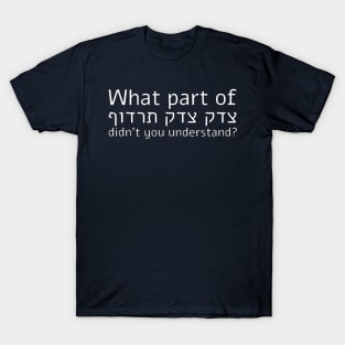 What Part of Tsedek Tsedek Tirdof Didn't You Understand? T-Shirt